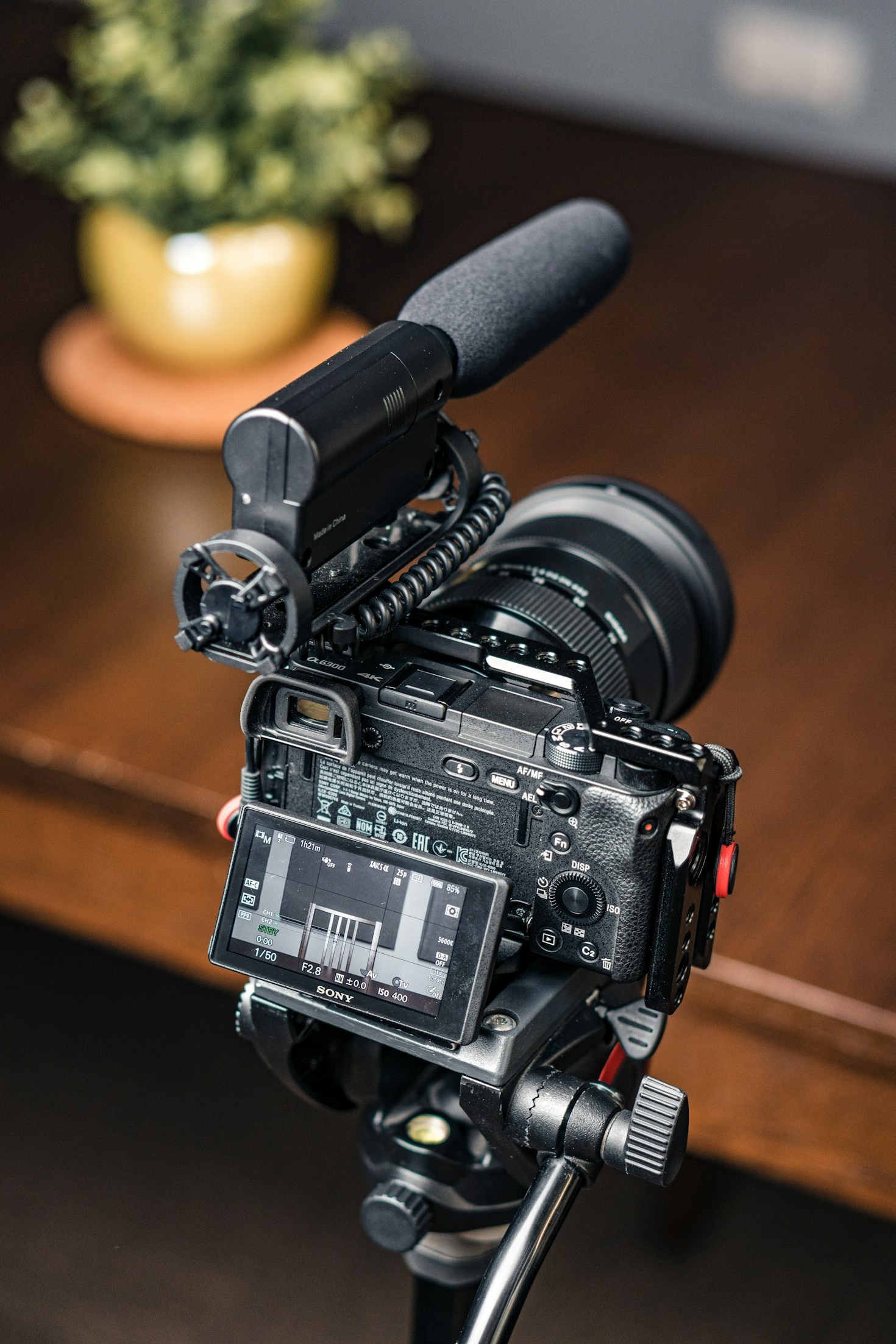 5 Reasons to Enroll in a YouTube Content Creation Course